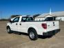 2014 White Ford F-150 STX 6.5-ft. Bed 2WD (1FTMF1CM5EK) with an 3.7L V6 DOHC 24V engine, 6-Speed Automatic transmission, located at 17760 Hwy 62, Morris, OK, 74445, (918) 733-4887, 35.609104, -95.877060 - 2014 FORD F-150 STX 6.5-ft. BED 2WD BI-FUEL (RUNS ON BOTH CNG OR GASOLINE) FEATURES POWER WINDOWS, POWER LOCKS, AM/FM STEREO, SIRIUS XM, CD PLAYER, AUXILLIARY PORT, CRUISE CONTROL, TRACTION CONTROL, MULTI-FUNCTIONING STEERING WHEEL CONTROLS. 164,837 MILES WITH LT245/R17 TIRES. ******CLEAN TITLE***** - Photo#6