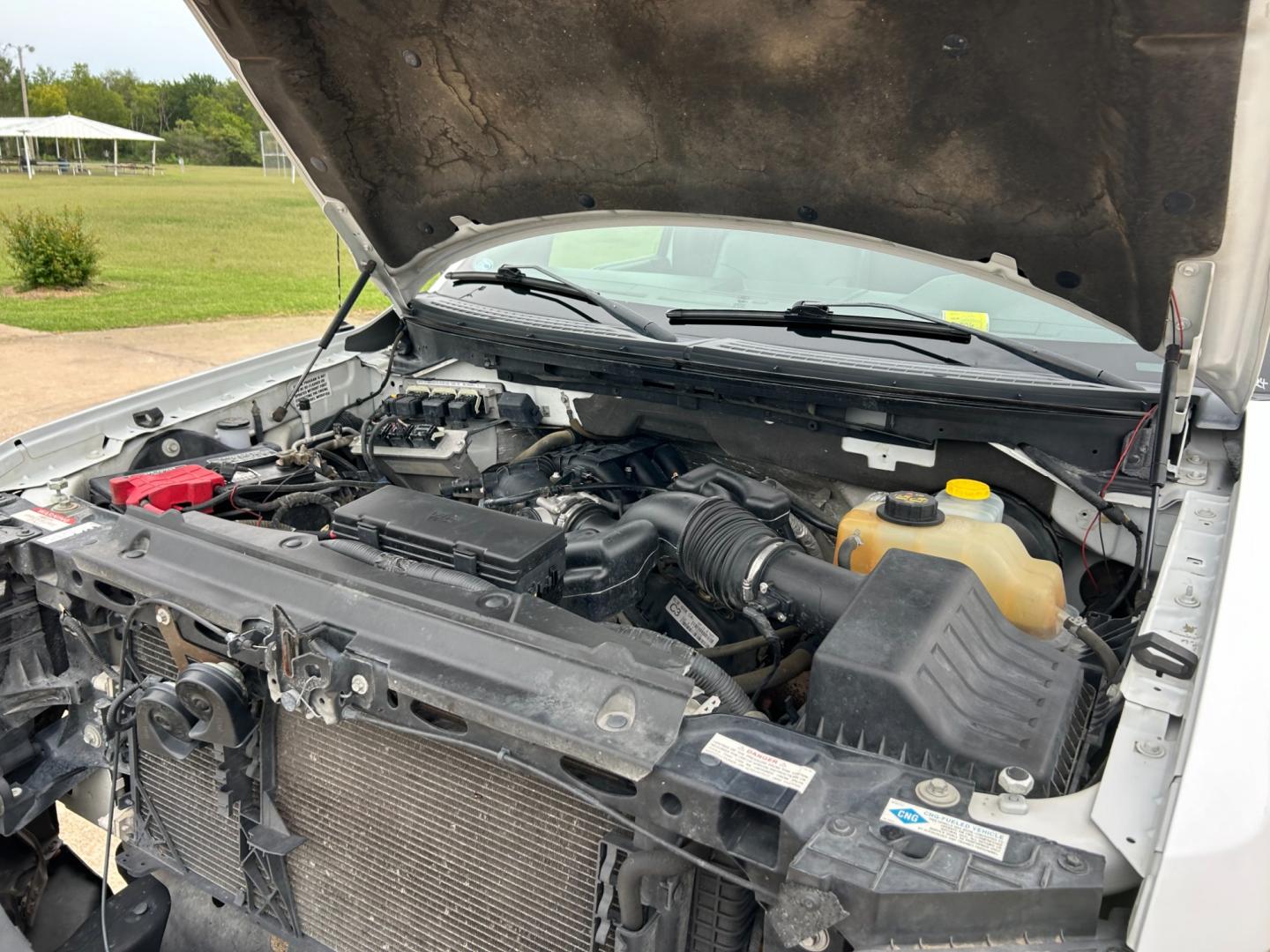 2014 White /Gray Ford F-150 XL (1FTMF1CM3EK) with an 3.6L V6 engine, AUTOMATIC transmission, located at 17760 Hwy 62, Morris, OK, 74445, (918) 733-4887, 35.609104, -95.877060 - Photo#16