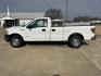 2011 White /Gray Ford F-150 STX 6.5-ft. Bed 2WD (1FTPF1CF4BK) with an 5.0L V8 OHV 16V engine, 4-Speed Automatic transmission, located at 17760 Hwy 62, Morris, OK, 74445, (918) 733-4887, 35.609104, -95.877060 - 2011 FORD F-150 HAS THE 5.0L V8 AND IS RWD. FEATURES POWER LOCKS, POWER WINDOWS, POWER MIRRORS, AM/FM STEREO, CLOTH INTERIOR, BED LINER, CRUISE CONTROL, TRACTION CONTROL, MULTI-FUNCTION STEERING CONTROL. A PREMIER ALTERNATIVE FUEL CONVERSION THAT IS EPA-APPROVED. EXTREMELY CLEAN-BURNING AND EFFICIEN - Photo#8